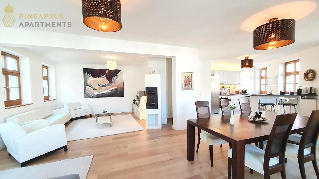 Pineapple Apartments Luxus Apartment Im Palais Am Neumarkt Dresden