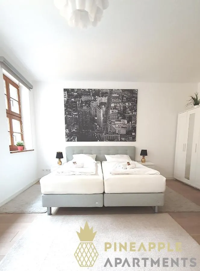 Pineapple Apartments Luxus Apartment Im Palais Am Neumarkt Dresden